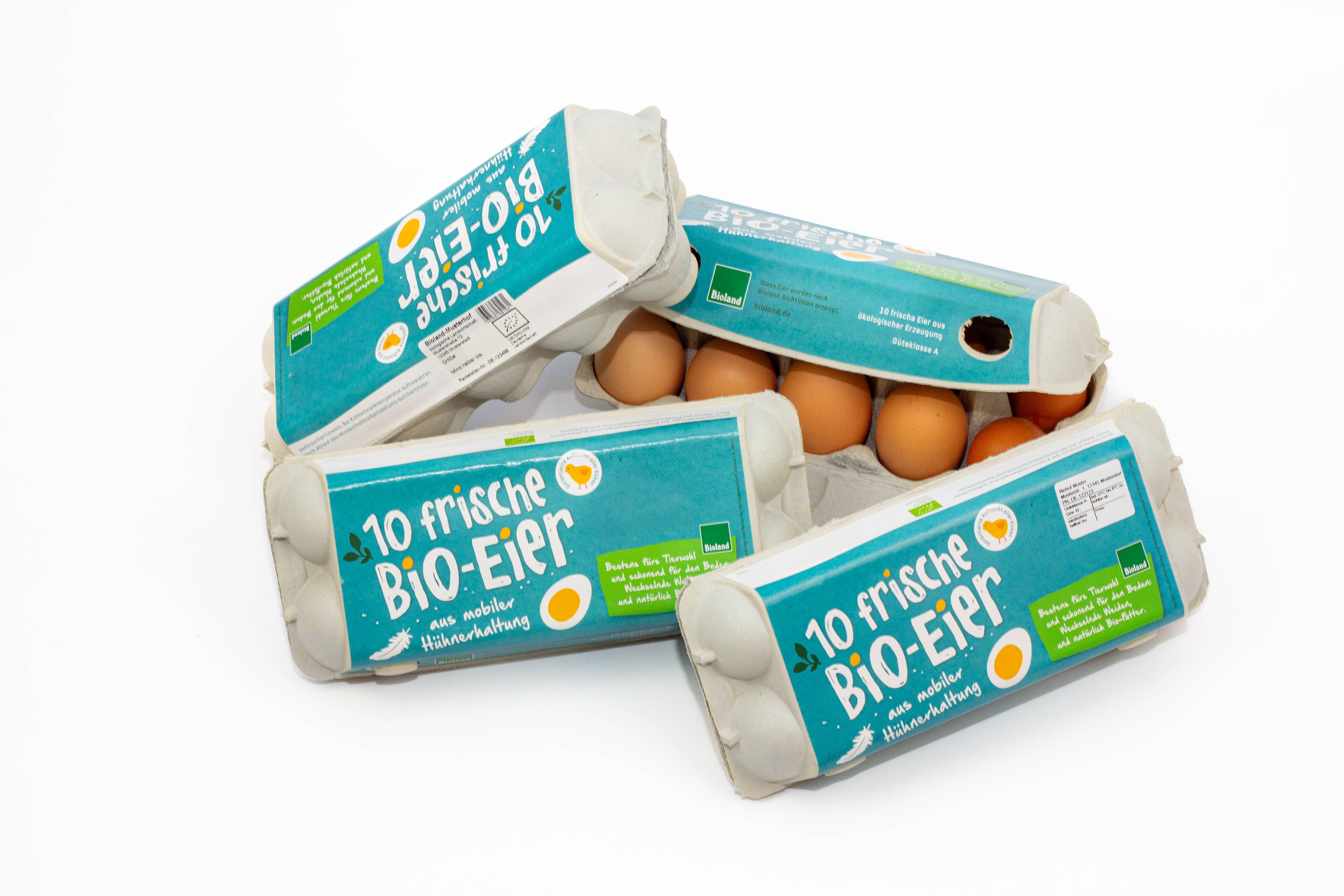 10er Eier-KVP mobile Hühnerhaltung petrol