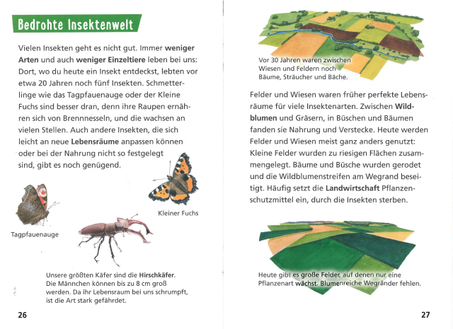 Kinderbuch pixi wissen "Insekten"