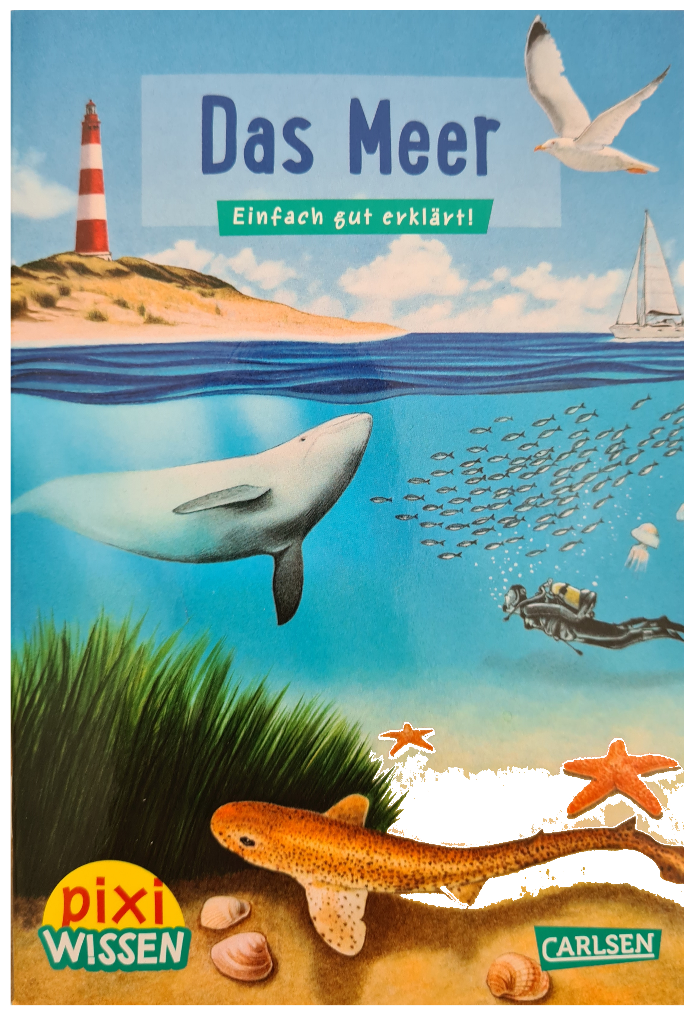 Kinderbuch pixi wissen "Das Meer"