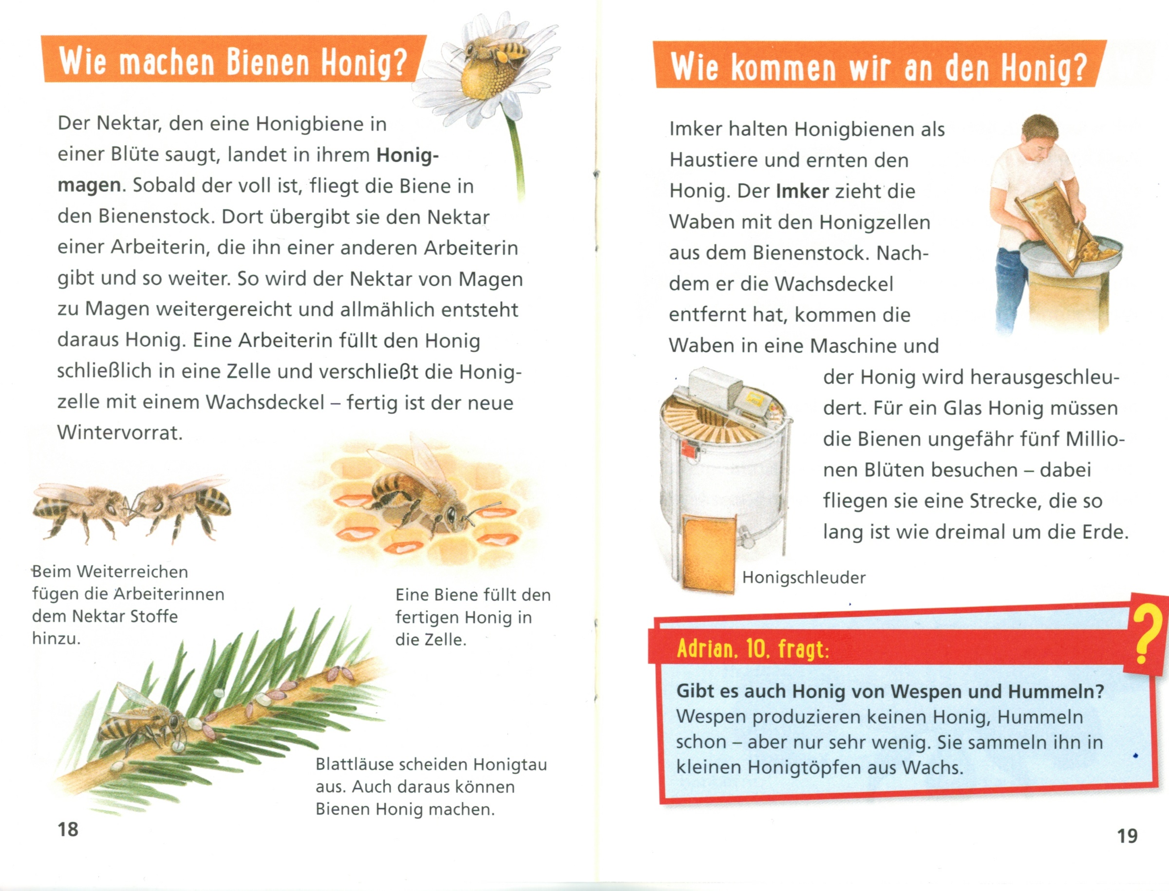 Kinderbuch pixi wissen "Bienen, Hummeln, Wespen"