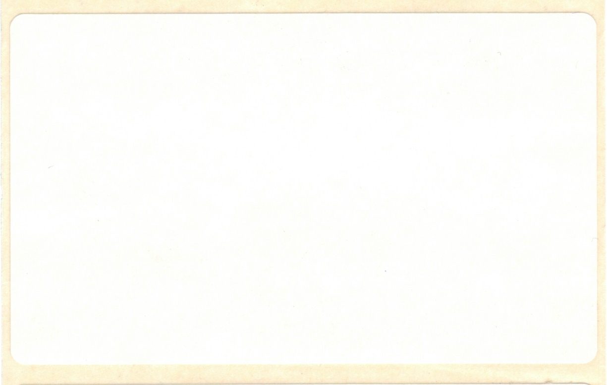 Rechteckig.Klebe-Etikett 10x6 cm weiß, zur indiviuellen Beschriftung