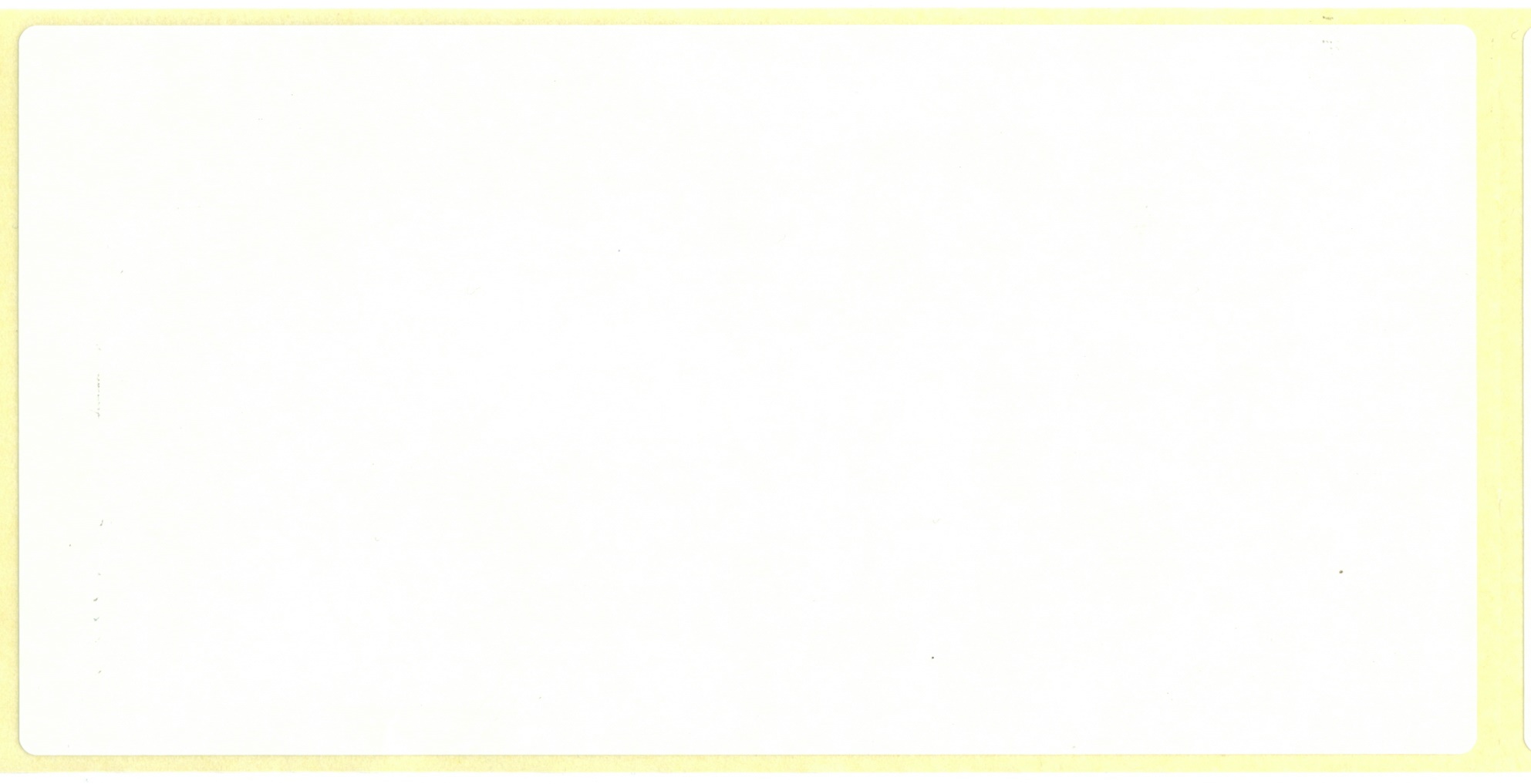 Klebe-Etikett 16 x 8 cm weiß, zur indiviuellen Beschriftung